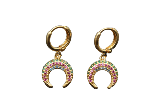 Harper horn earrings | rainbow