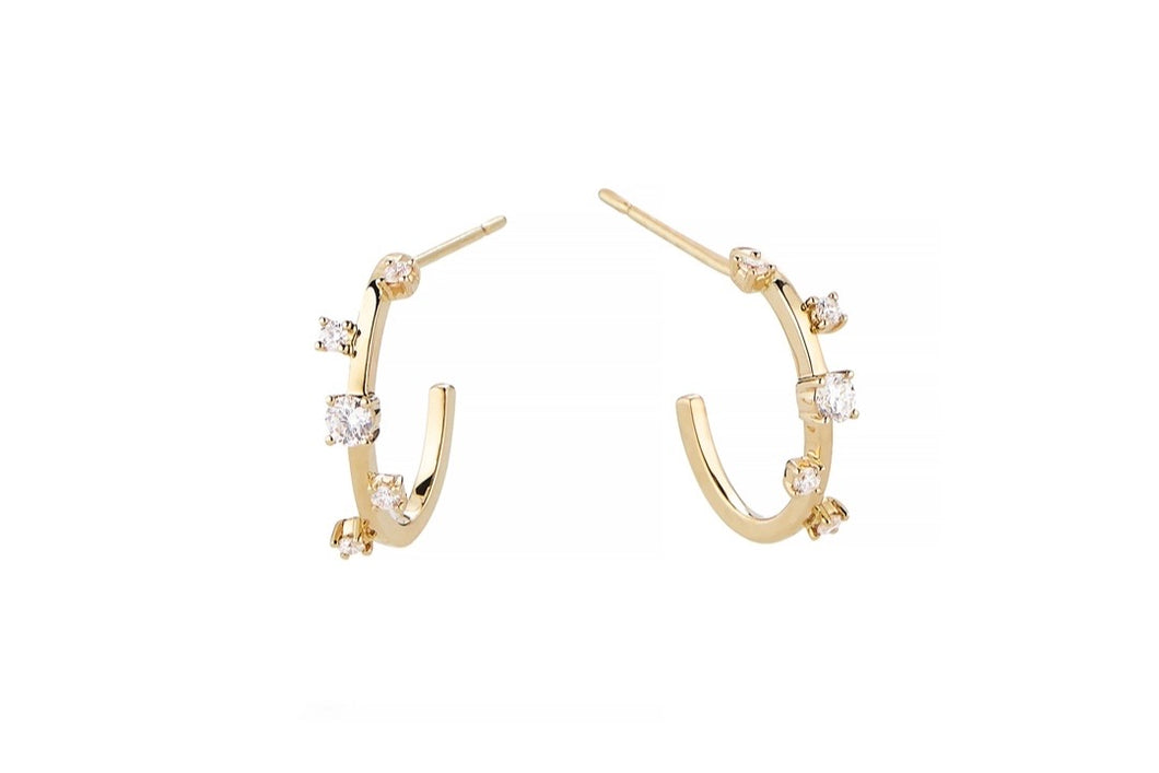 Eve zirconia earrings